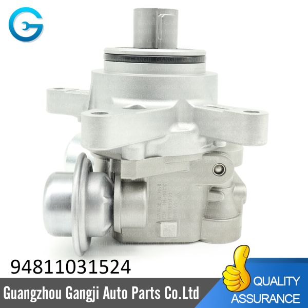 Fuel Injection Pump Spare Parts 94811031524 Fuel Pump for Porsches Panameras