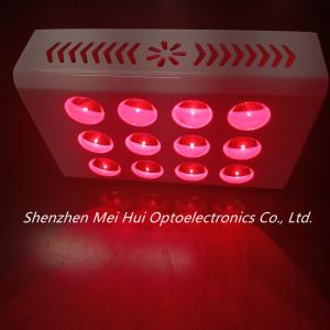 China 40W PDT Red Light Therapy Machines Anti Aging Decrease Inflammation wholesale