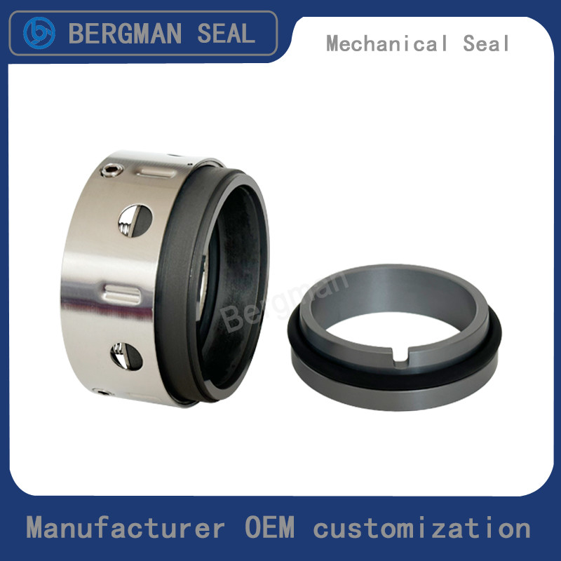 BERGMAN 58U 59U 14mm-100mm G60 G4 G6 G9 G13 G16 BS Bo BP Pump Mechanical Seal