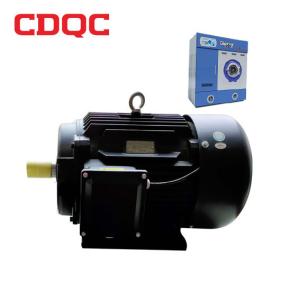 China CDQC Black High Frequency Induction Motor With Frequency Converter AC Electric washing motor wholesale