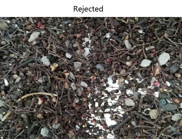 Intelligent Cleaning CCD Spice Color Sorter