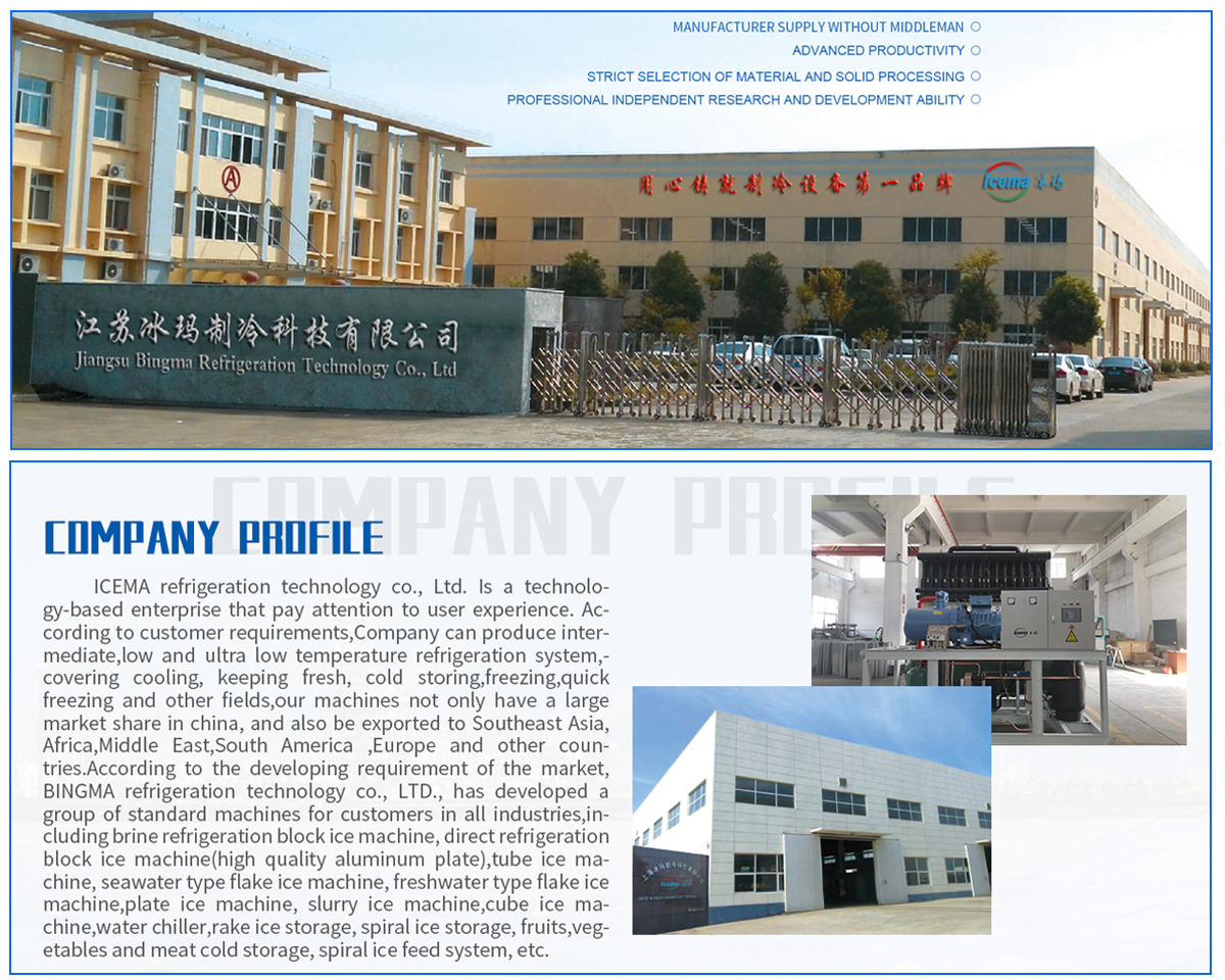 Emerson Compressor ICEMA Automatic 1ton Ice Cube Making Machine for Ice Production