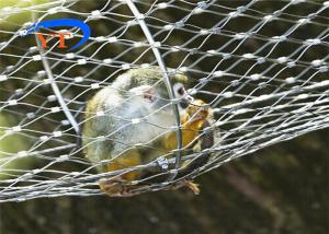 China Ferruled Zoo Wire Mesh 3.2mm Stainless Steel Bird Cage Wire 30x30mm wholesale