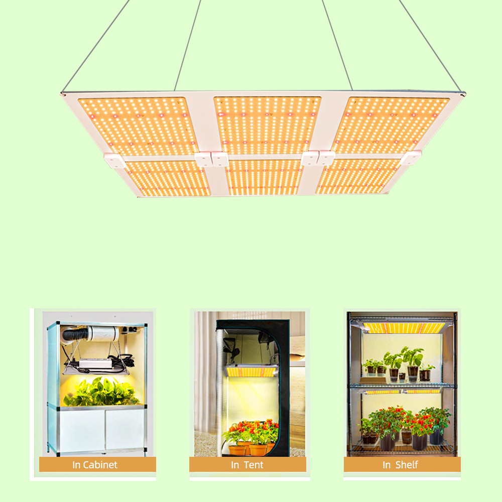 AC100V 600W Hydroponic Led Grow Lights Samsung Lm301b Led Herb Grow Light