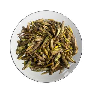 China Freeze-dried Grasshopper/poultry food/pet feed wholesale