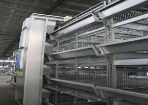 China High Capacity Broiler Farming In Cage System Environmental Friendly wholesale