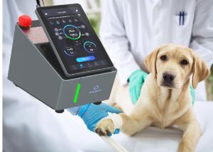 China Level Four Equine Laser Therapy Machine 8 Watt Pain Free wholesale