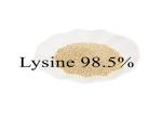 Amino Acid Feed Grade Lysine 99% For Animal Poultry