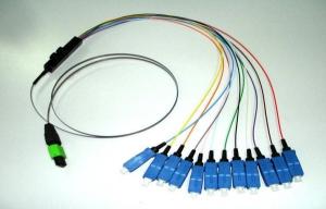 China 12 Fibers MPO-SC MTP MPO Fiber Patch Jumper Cable 0.9mm Cable wholesale