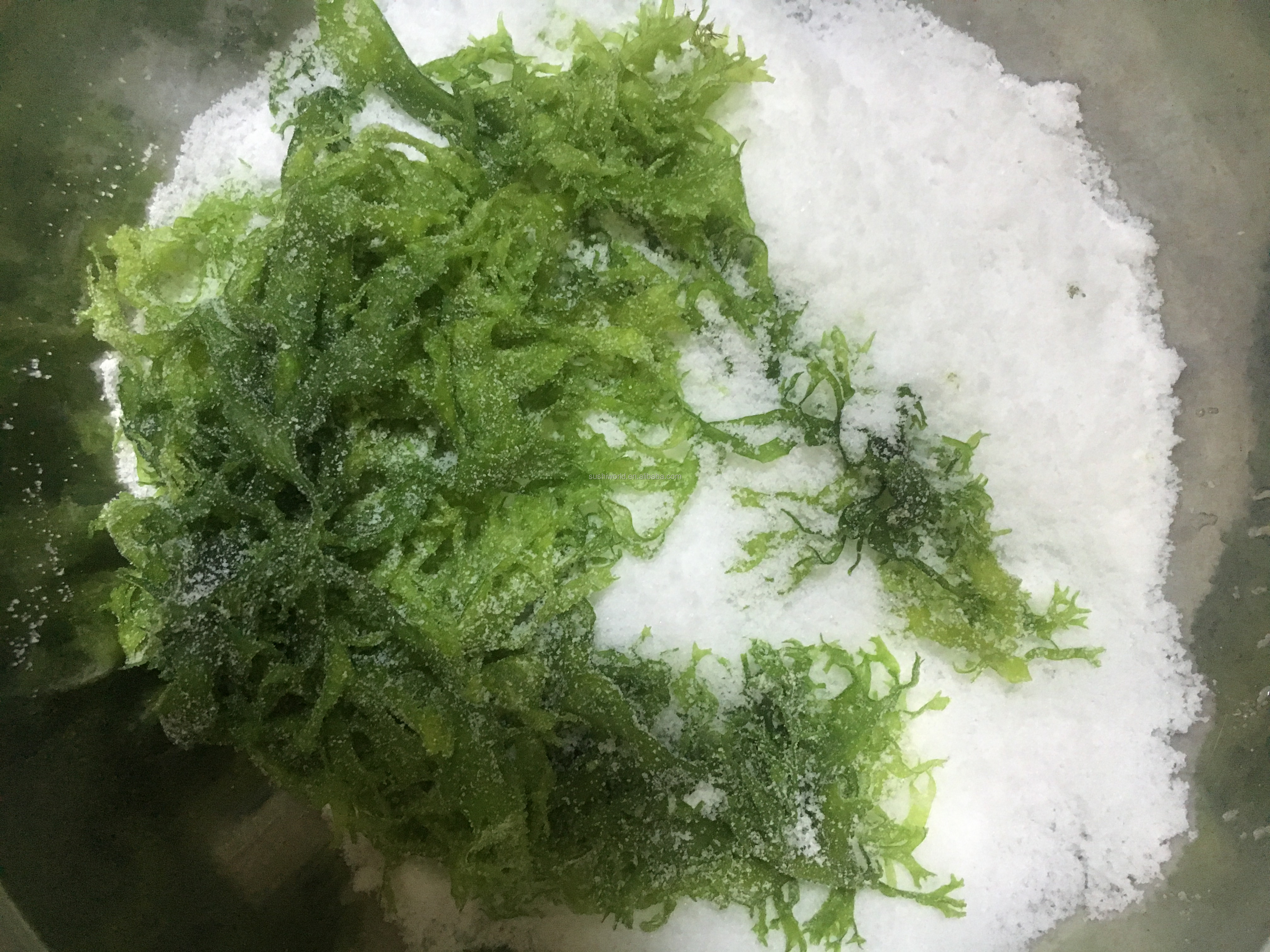 FROZEN Dried Seaweed Tosaka In Red Green Style Flavored Seasoned