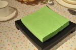 50 Count 2Ply premium Orange Color Paper Napkin Wood Pulp Material