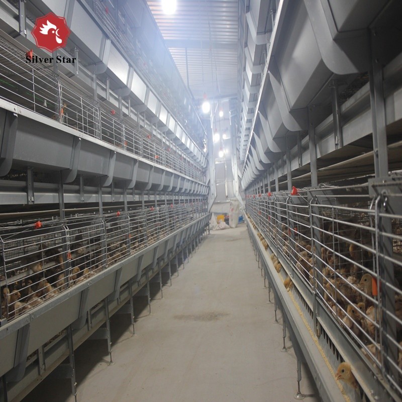 H Type Automatic Battery Chicken Cages Poultry Farming Galvanized 4Tiers