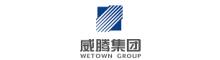 China Wetown Electric Group Co.,Ltd. logo