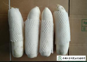 China Natural Big White Radish Rich Nutrition Own Base For Human Health wholesale