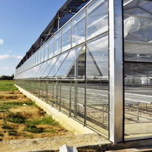 China Luxury Greenhouse Glass Full Auto High Tech Glasshouse Multispan Green House Attached Even Span on sale