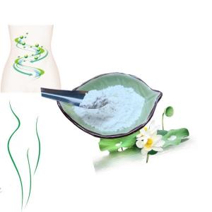 China Lotus Extract Natural Raw Material 98% Nuciferine Heatstroke Treatment wholesale