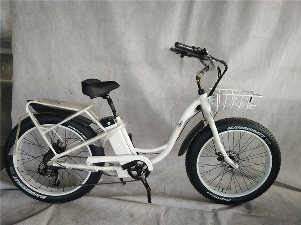 48V Electric Dual Motor 1000 Watt Long Range Fat Tire Cargo E-Bike with Fast Charging
