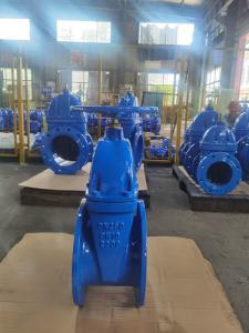 China F4 Oem Gate Valve Cast Iron Manual Electric Actuated DN50 wholesale