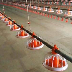 China Automatic feeding pan system Animal Feeders black soldier fly farm equipment wholesale