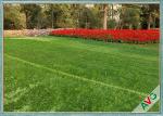 Residential / Commercial Landscaping Pet Artificial Turf With Monofil PE Curly