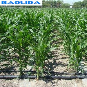 China Agriculture Plants Growing Watering Saving Drip Watering System For Greenhouse wholesale