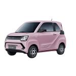 Dongfeng Fengguang MINI New Energy EV 180KM 220KM Vehicles Electric EV Car