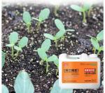 Colorless Amino Acid Water Soluble Liquid Fertilizer