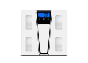 China Explosion Proof 180KG Electronic Body Fat Analyser Scale wholesale