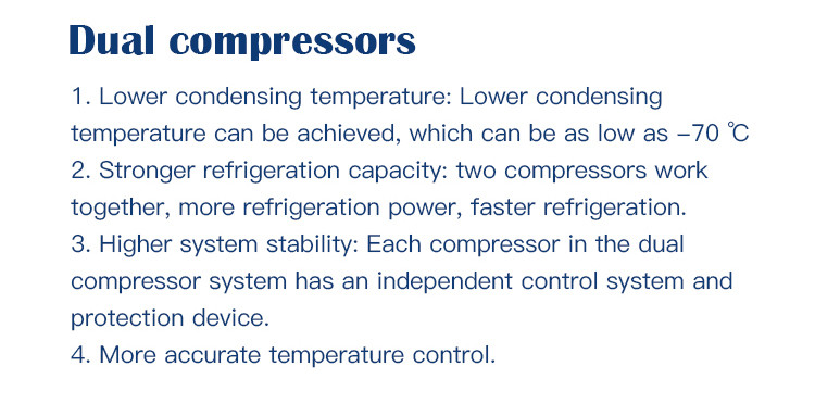 Double Compressor Vegetable Freeze Dryer Fruit Flower Vacuum Freeze Drying Equipment