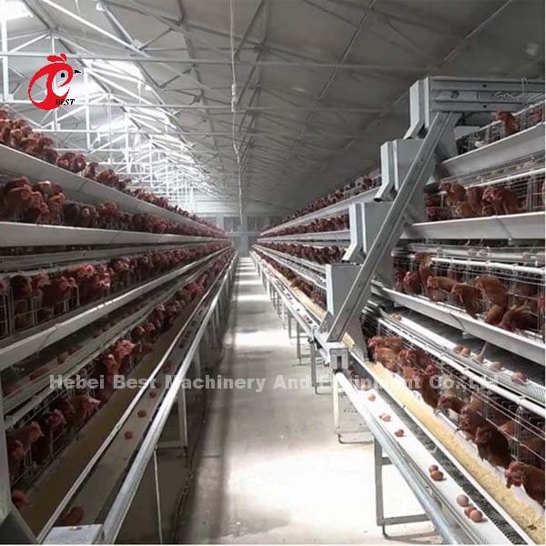 H Type Layer Battery Cage System 4 Rows Layer Poultry Farm Equipment CE Approval Sandy