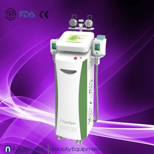China multifunction cryolipolysis fat freezing machine for sale wholesale