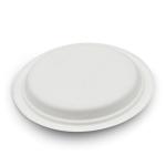Microwaveable Eco Friendly Packaging Compostable Sugarcane Plates Biodegradable