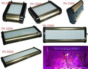 China Cidly 200w led grow panel lighting,Greenhouse Grow wholesale