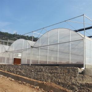 China Durable Agricultural Large Tunnel Multi-span Arched Poly Tunnel Greenhouse wholesale