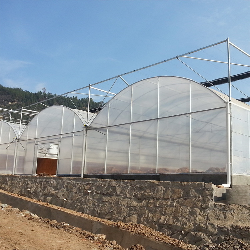 Tropical Climate Custom Size Poly Tunnel Plastic Film Agricultural Sawtooth Greenhouse
