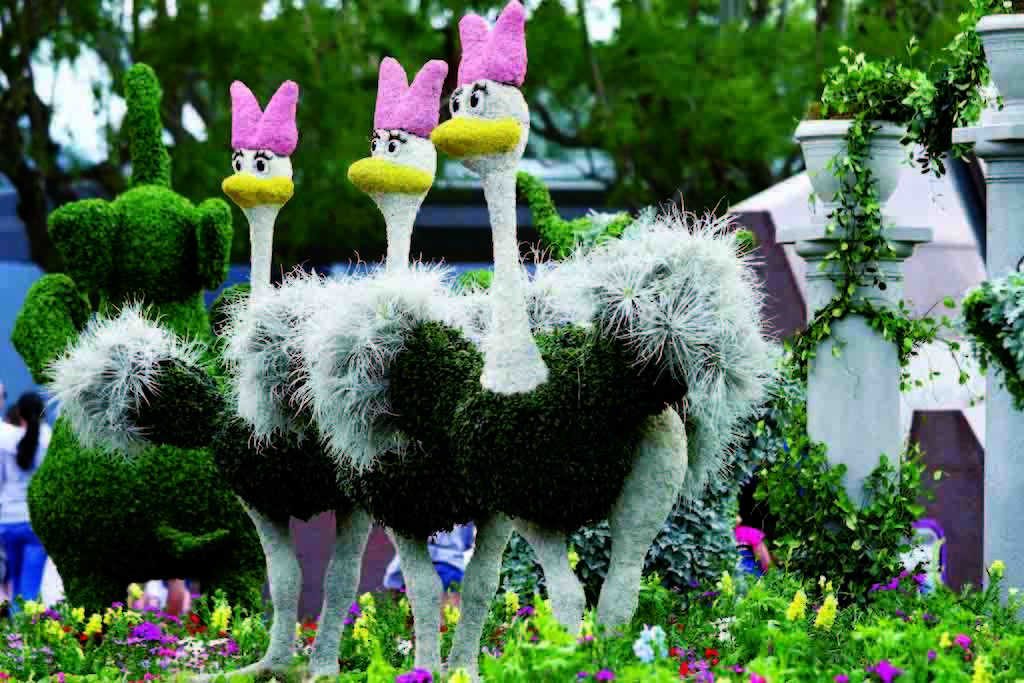 HAIHONG Beautiful Plants And Flowers Topiary Sculpture Fashionable