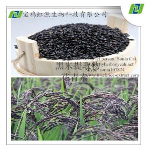 China Hot Selling Black Rice Extract Powder in 2015 wholesale