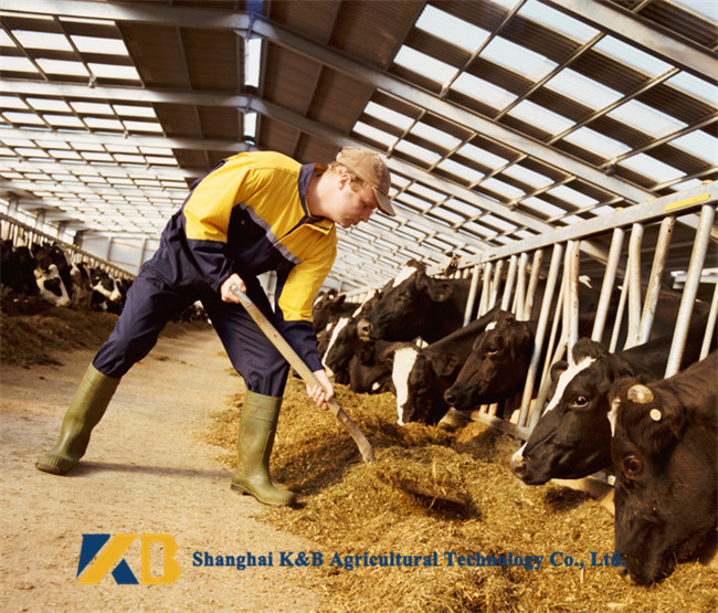 Stable Various Sea Fish Meal Powder Rich Vitamins For Feed Adding Protein