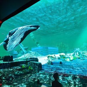 China 3d Hd Immersive Viewing Led Display Screen Hanging Glass Hologram Cinema wholesale