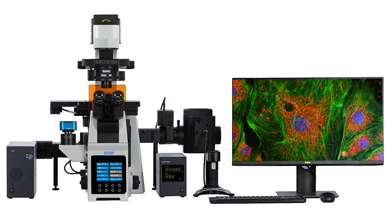 Opto Edu A64.0960 Laser Confocal Scanning Microscope Full Auto Motorized