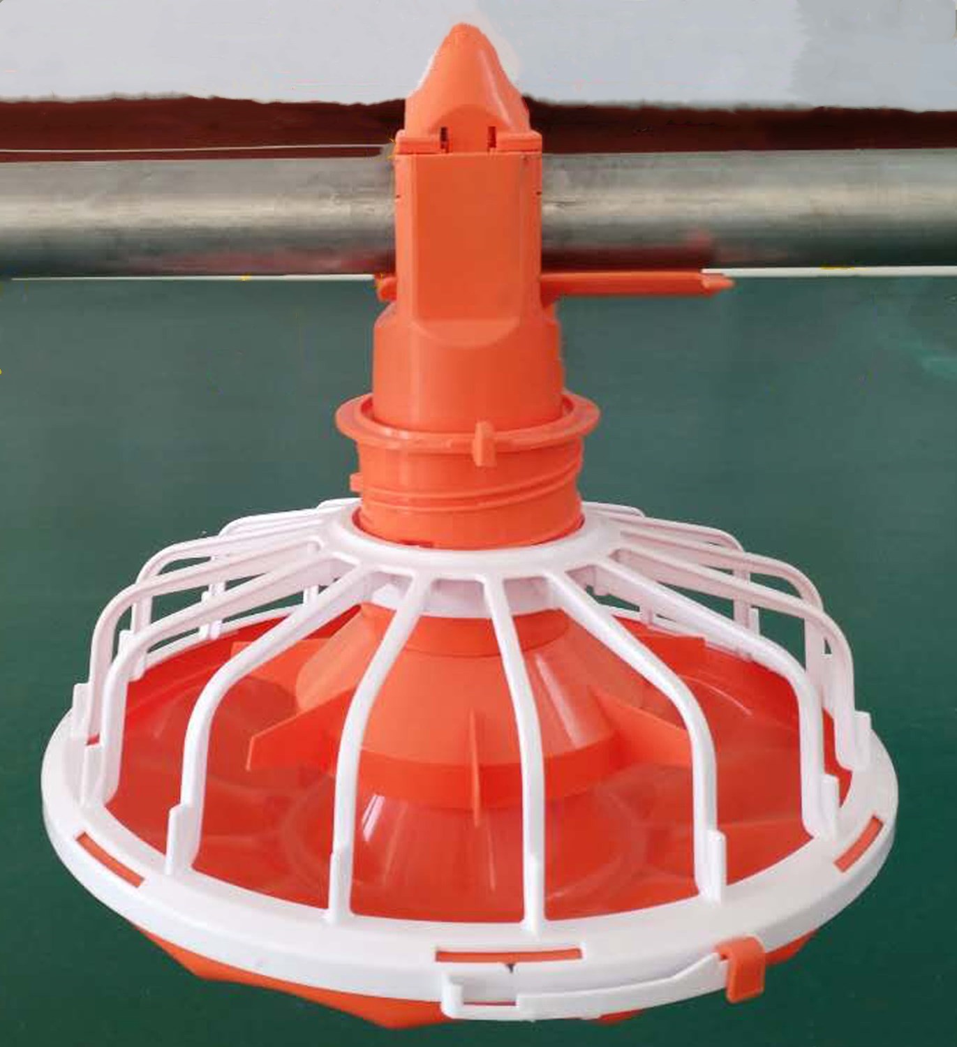 Chicken PP Eco Friendly Automatic Pan Feeding System