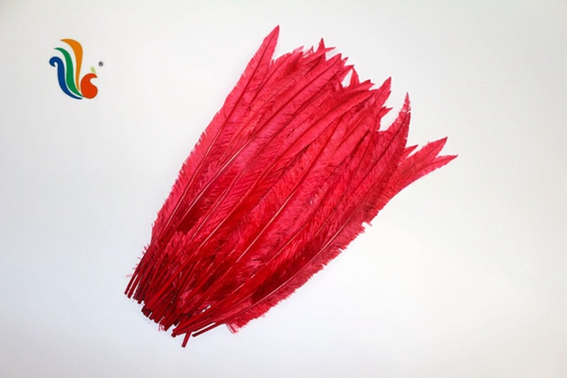 Party Decoration Nandu Plumes Feather Dyed Pattern for Worldwide Shipping