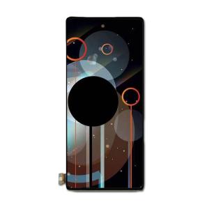 China Amoled Rigid Screen 1080*2400 High Resolution Oled Display wholesale