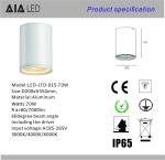 IP65 waterproof surface mounted DALI downlight 70W 0-10V dimmable exterior led