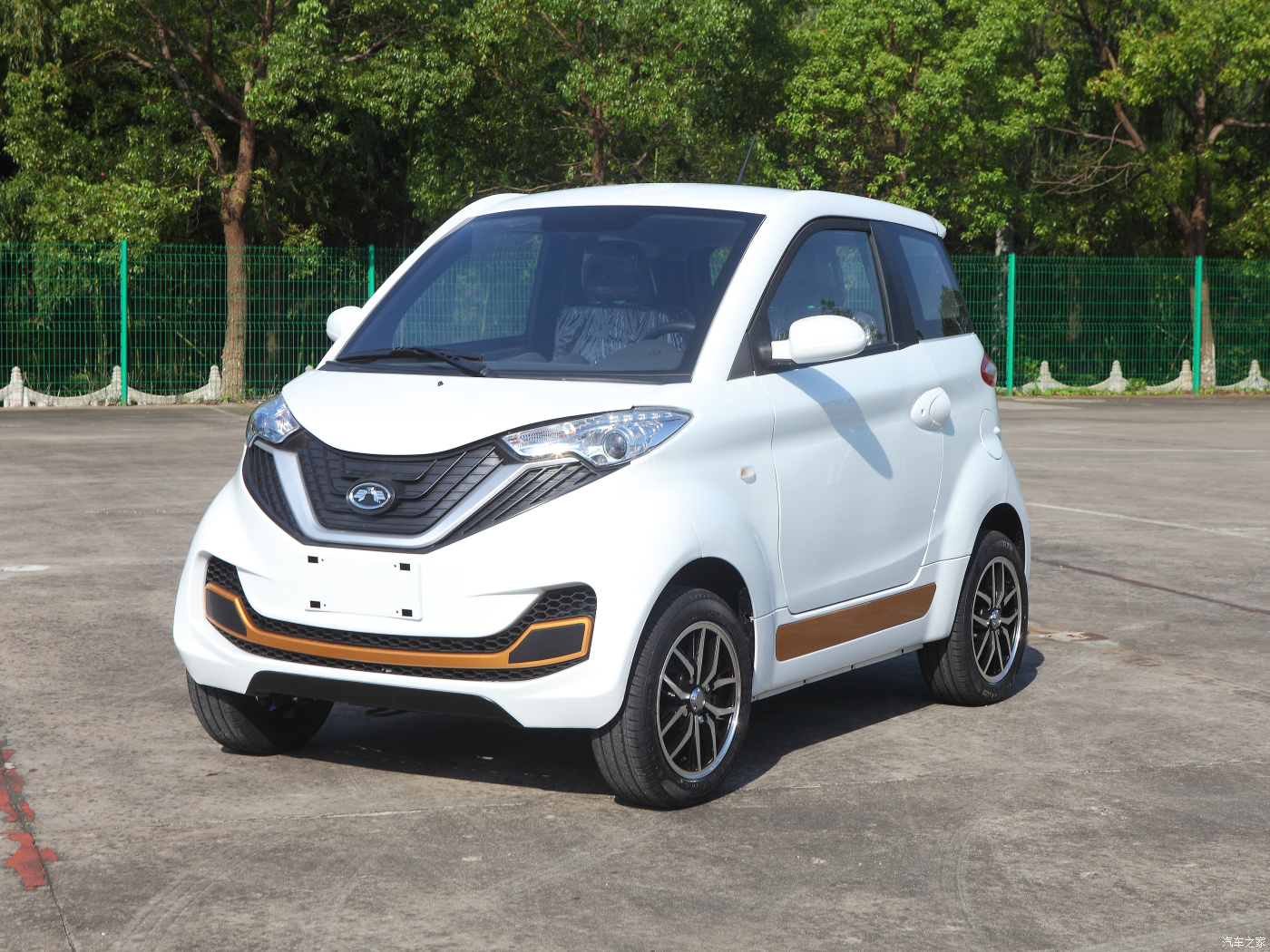 New Energy Mini EV Cars