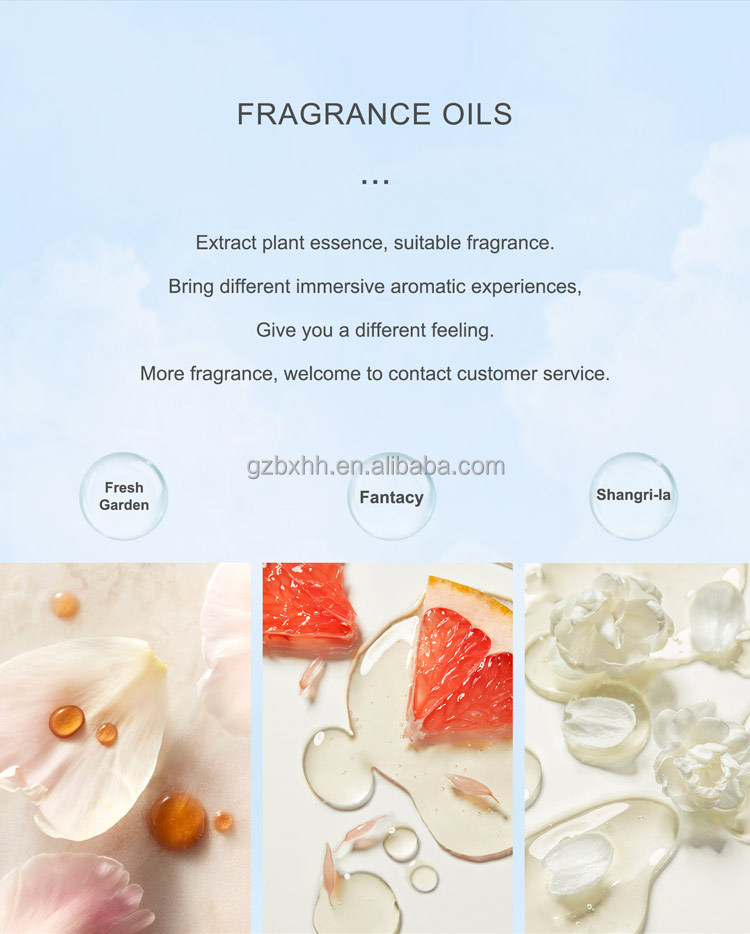 X300 Electric Aromatic Oil Diffuser Sterilization Commercial Aroma Oil Diffuser