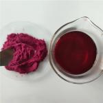 Antioxidants Food Grade Bilberry Fruit Powder With Best Price
