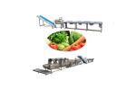 10KW Vegetable Salad Cabbage Lettuce Washing Production Line