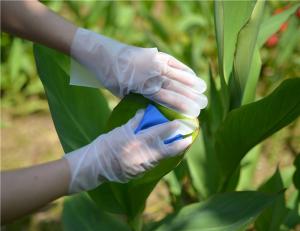 China Transparent Cleaning Food 1.4g Disposable Hand Gloves 100pcs/Box wholesale