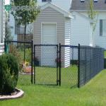 Park Trail Chain Link Fence Greenery Divider
